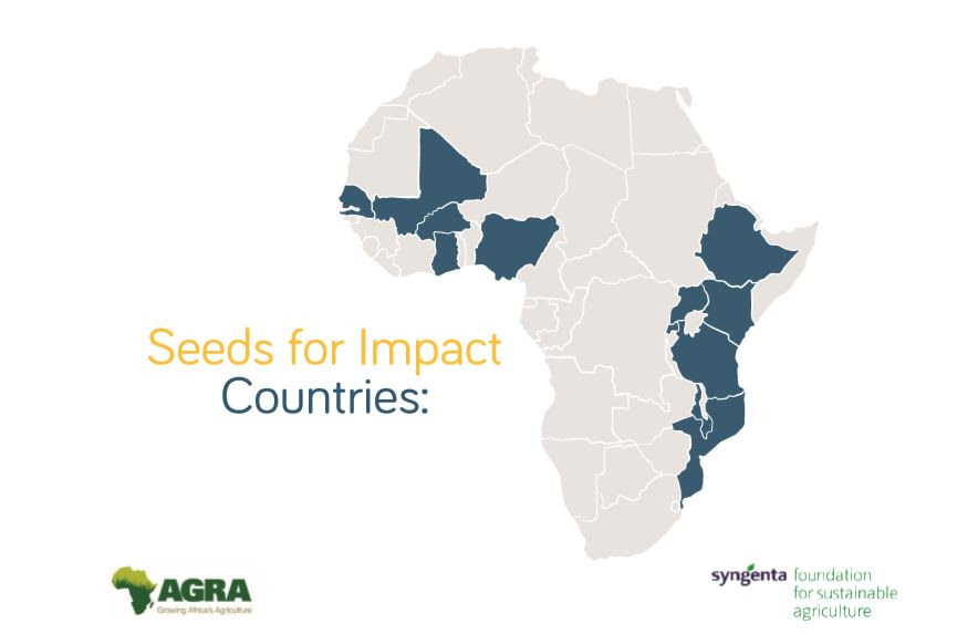 Seeds for Impact